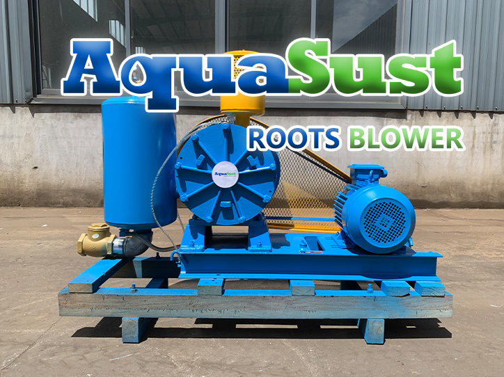 The important role of Roots blowers in the environmental protection industry and future development prospects