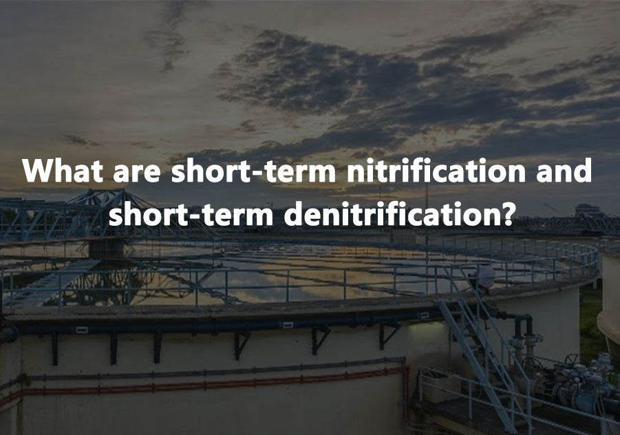 What are short-term nitrification and short-term denitrification?