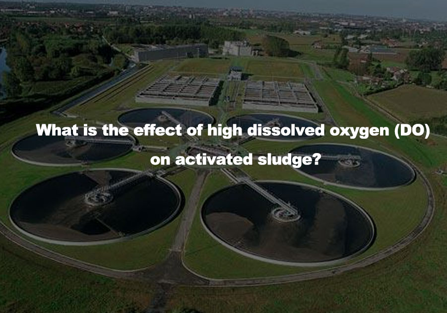 What is the effect of high dissolved oxygen (DO) on activated sludge?