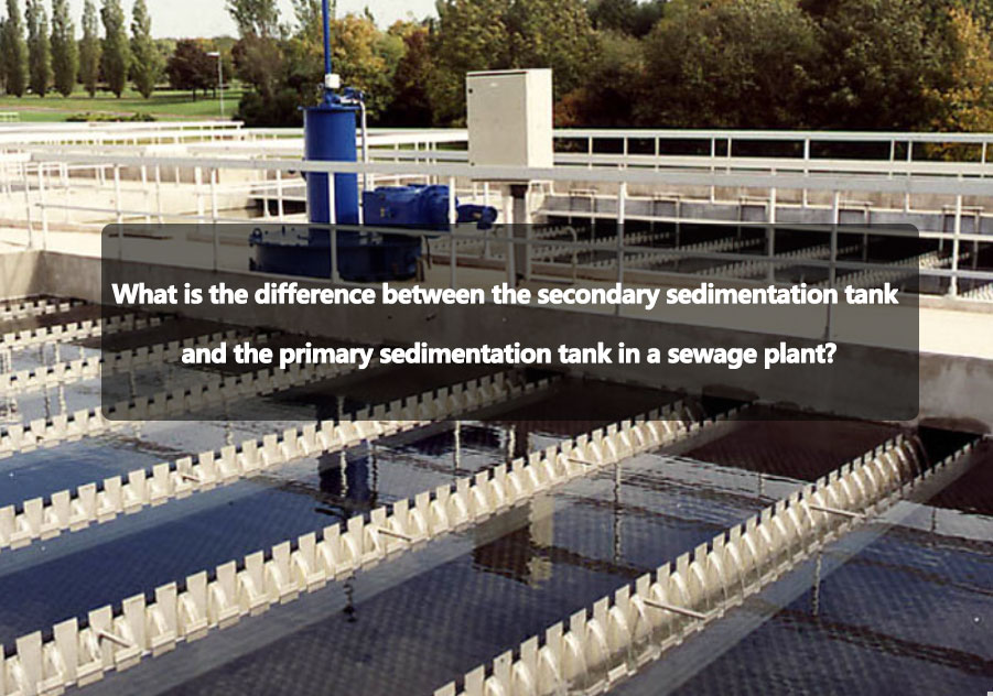 What is the difference between the secondary sedimentation tank and the primary sedimentation tank in a sewage plant?